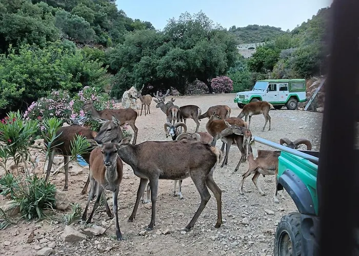 בית נופש Maria, Mas Que Pernoctar