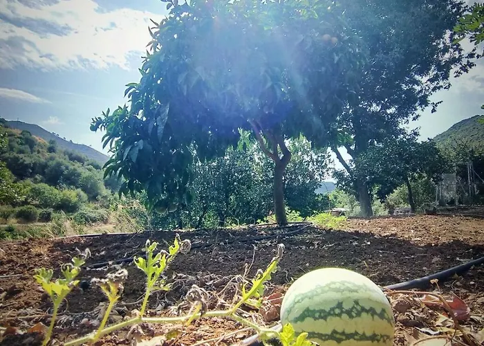 Maria, Mas Que Pernoctar בית נופש